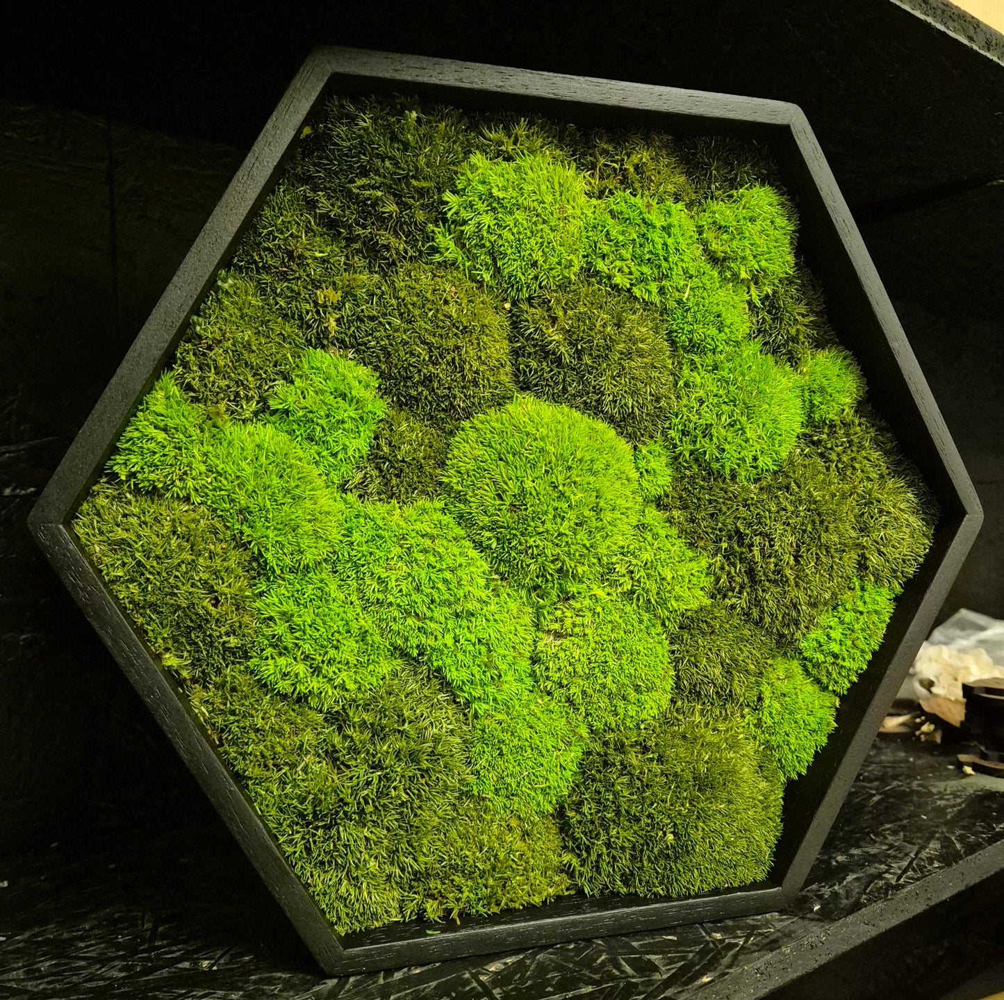 Moosbild Hexagon Kugelmoos DUO Light green 30cm