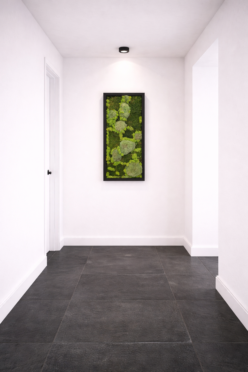 Moosbild 3erlei 30x60cm