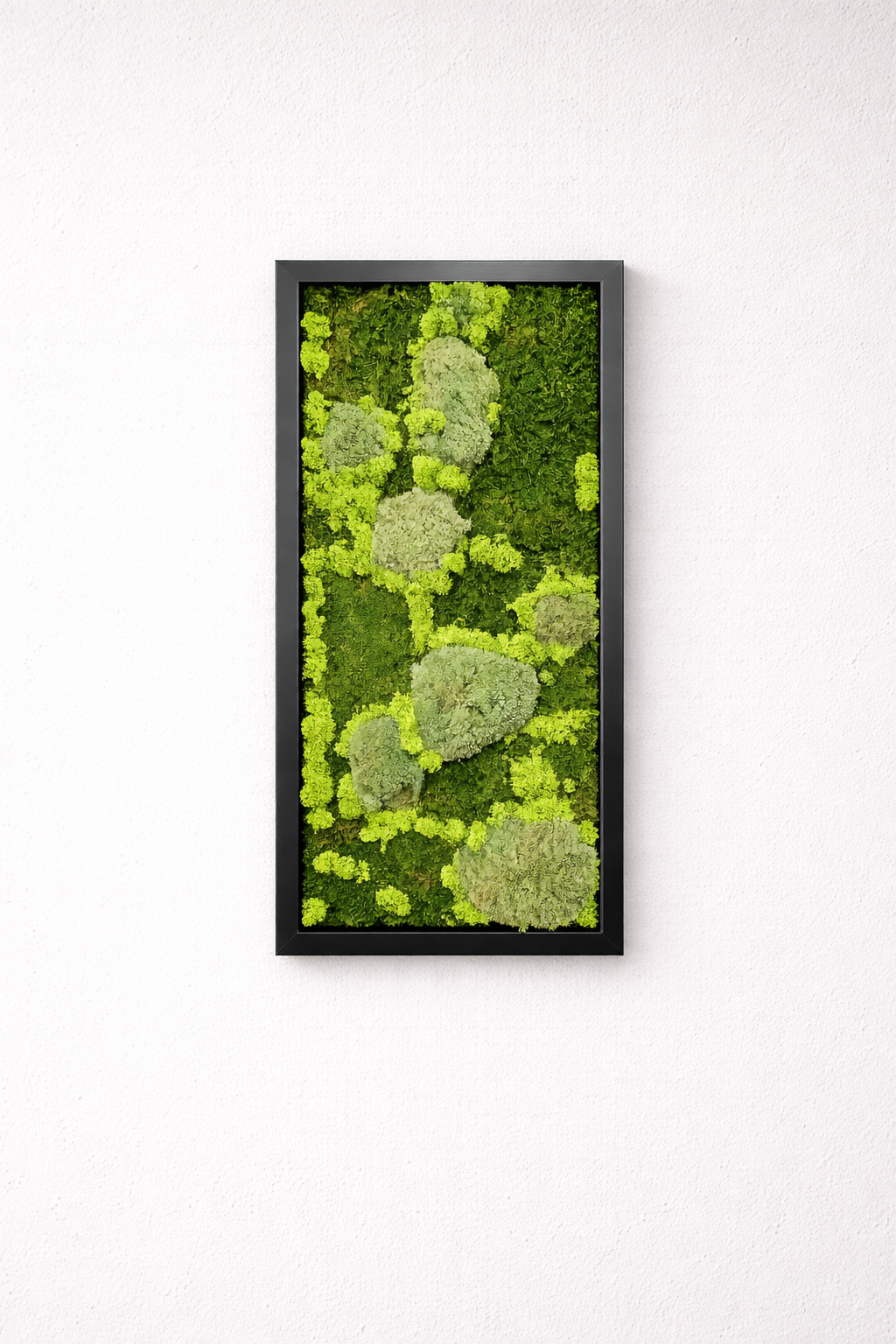 Moosbild 3erlei 30x60cm