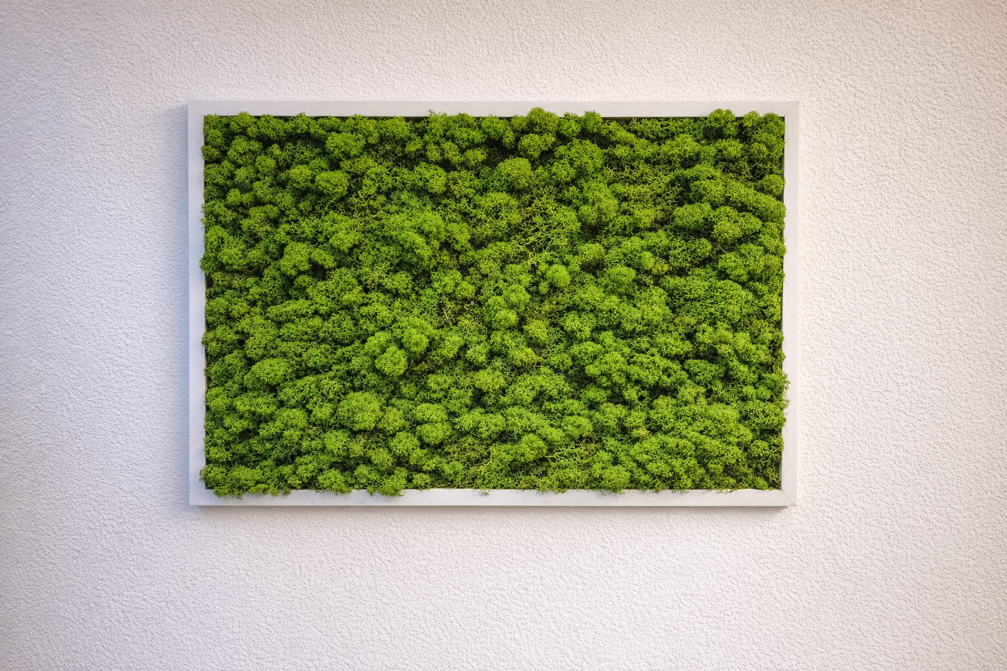 Moosbild 50x70cm