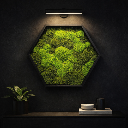 Moosbild Hexagon Kugelmoos DUO Light green 30cm